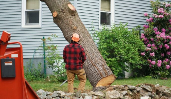 247 Tree Removal-Wellington’s Best Tree Trimming and Tree Removal Services-We Offer Tree Trimming Services, Tree Removal, Tree Pruning, Tree Cutting, Residential and Commercial Tree Trimming Services, Storm Damage, Emergency Tree Removal, Land Clearing, Tree Companies, Tree Care Service, Stump Grinding, and we're the Best Tree Trimming Company Near You Guaranteed!