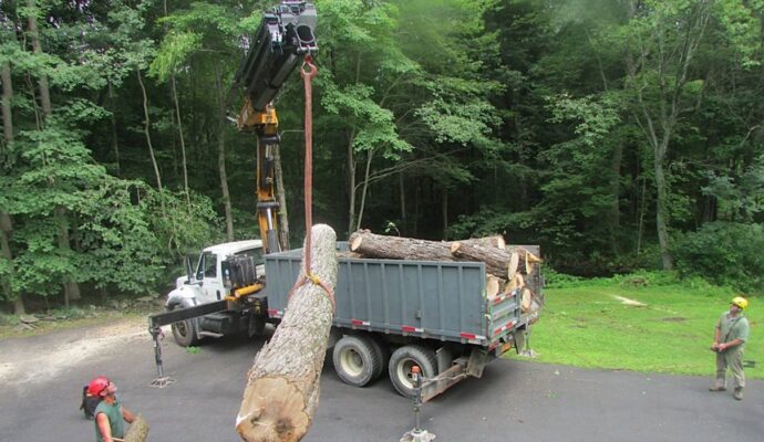 Commercial Tree Services-Wellington’s Best Tree Trimming and Tree Removal Services-We Offer Tree Trimming Services, Tree Removal, Tree Pruning, Tree Cutting, Residential and Commercial Tree Trimming Services, Storm Damage, Emergency Tree Removal, Land Clearing, Tree Companies, Tree Care Service, Stump Grinding, and we're the Best Tree Trimming Company Near You Guaranteed!
