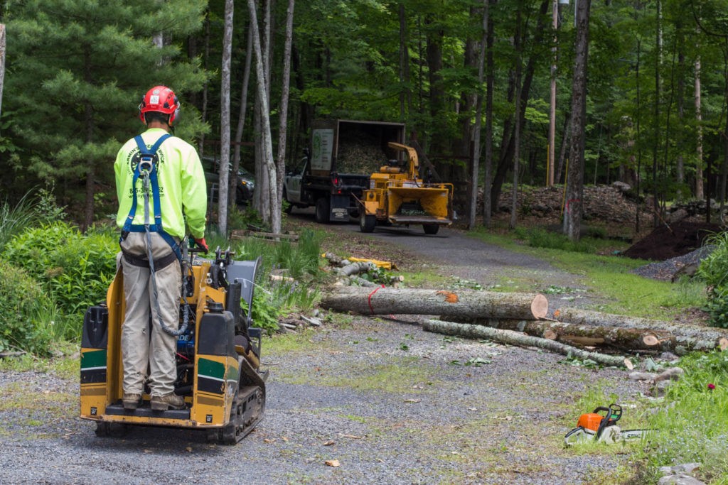Emergency Tree Removal-Wellington’s Best Tree Trimming and Tree Removal Services-We Offer Tree Trimming Services, Tree Removal, Tree Pruning, Tree Cutting, Residential and Commercial Tree Trimming Services, Storm Damage, Emergency Tree Removal, Land Clearing, Tree Companies, Tree Care Service, Stump Grinding, and we're the Best Tree Trimming Company Near You Guaranteed!