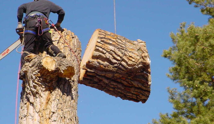 Greenacres-Wellington’s Best Tree Trimming and Tree Removal Services-We Offer Tree Trimming Services, Tree Removal, Tree Pruning, Tree Cutting, Residential and Commercial Tree Trimming Services, Storm Damage, Emergency Tree Removal, Land Clearing, Tree Companies, Tree Care Service, Stump Grinding, and we're the Best Tree Trimming Company Near You Guaranteed!