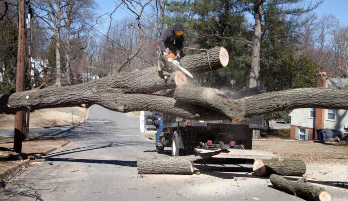 Residential Tree Services-Wellington’s Best Tree Trimming and Tree Removal Services-We Offer Tree Trimming Services, Tree Removal, Tree Pruning, Tree Cutting, Residential and Commercial Tree Trimming Services, Storm Damage, Emergency Tree Removal, Land Clearing, Tree Companies, Tree Care Service, Stump Grinding, and we're the Best Tree Trimming Company Near You Guaranteed!