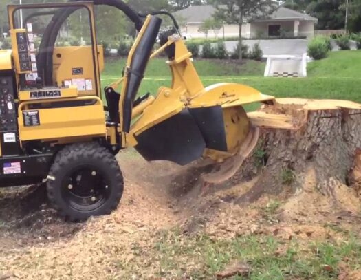 Stump Grinding-Wellington’s Best Tree Trimming and Tree Removal Services-We Offer Tree Trimming Services, Tree Removal, Tree Pruning, Tree Cutting, Residential and Commercial Tree Trimming Services, Storm Damage, Emergency Tree Removal, Land Clearing, Tree Companies, Tree Care Service, Stump Grinding, and we're the Best Tree Trimming Company Near You Guaranteed!