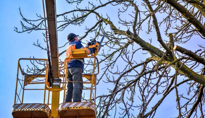 Tree Trimming-Wellington’s Best Tree Trimming and Tree Removal Services-We Offer Tree Trimming Services, Tree Removal, Tree Pruning, Tree Cutting, Residential and Commercial Tree Trimming Services, Storm Damage, Emergency Tree Removal, Land Clearing, Tree Companies, Tree Care Service, Stump Grinding, and we're the Best Tree Trimming Company Near You Guaranteed!