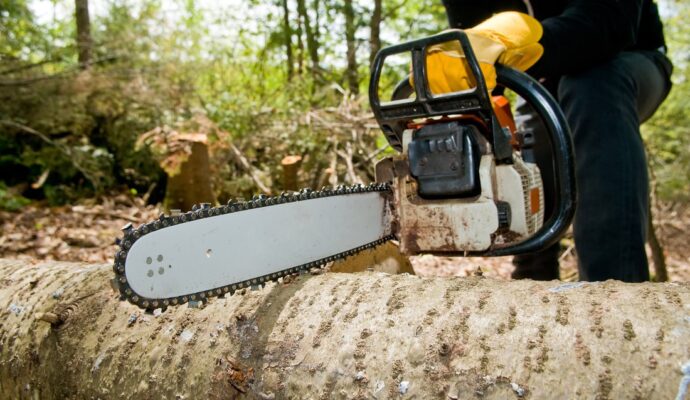 Wellington’s Best Tree Trimming and Tree Removal Services-We Offer Tree Trimming Services, Tree Removal, Tree Pruning, Tree Cutting, Residential and Commercial Tree Trimming Services, Storm Damage, Emergency Tree Removal, Land Clearing, Tree Companies, Tree Care Service, Stump Grinding, and we're the Best Tree Trimming Company Near You Guaranteed!