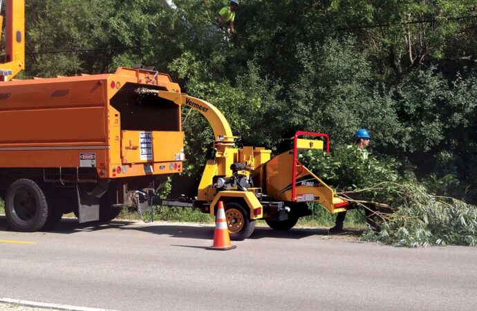 Commercial Tree Services-Wellington FL-Wellington Pro Tree Trimming and Removal Team