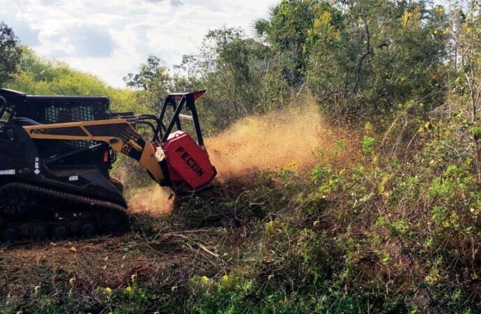 Land Clearing-Wellington FL-Wellington Pro Tree Trimming and Removal Team