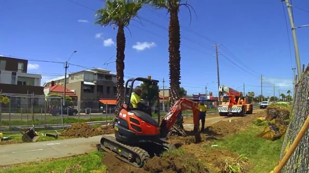 Palm Tree Removal-Affordable-Wellington Pro Tree Trimming and Removal Team
