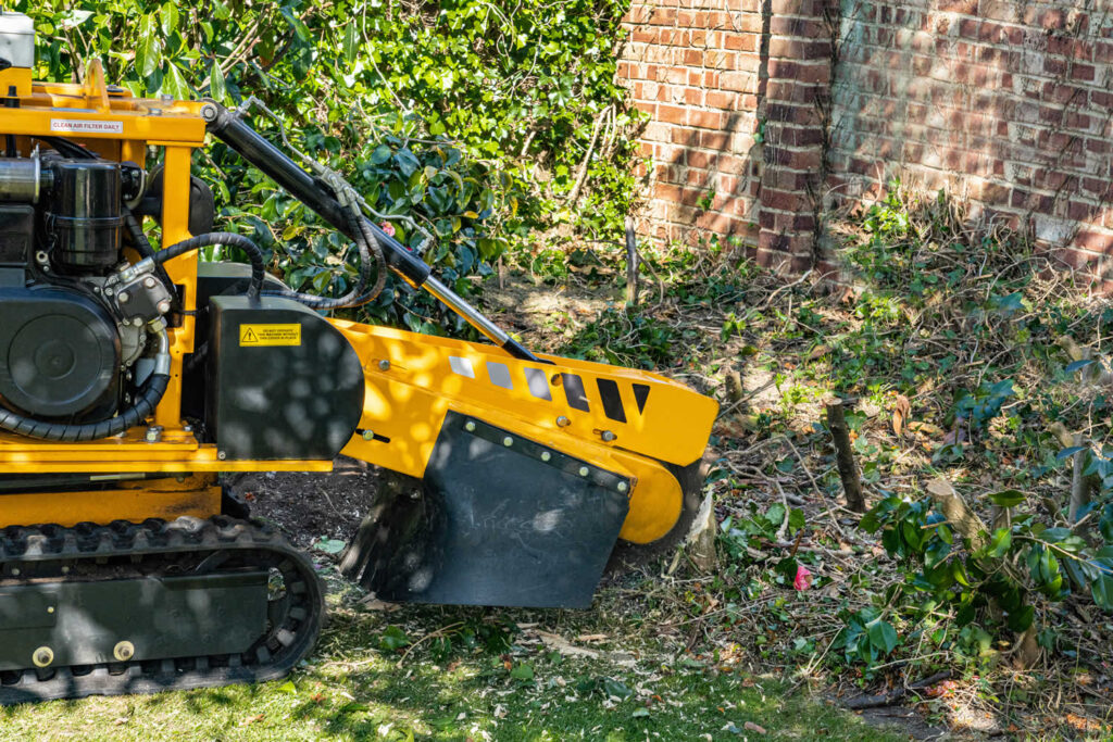 Stump Grinding Affordable-Wellington Pro Tree Trimming and Removal Team