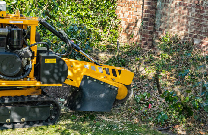 Stump Grinding Affordable-Wellington Pro Tree Trimming and Removal Team