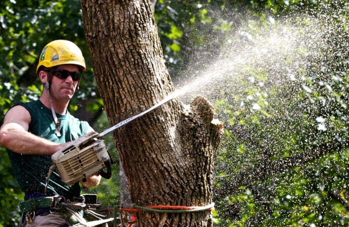 Tree Trimming-Affordable-Wellington Pro Tree Trimming and Removal Team